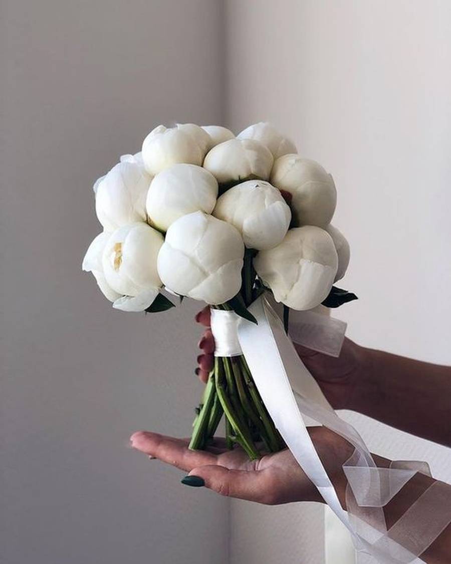 دسته گل عقد محضری جدید 