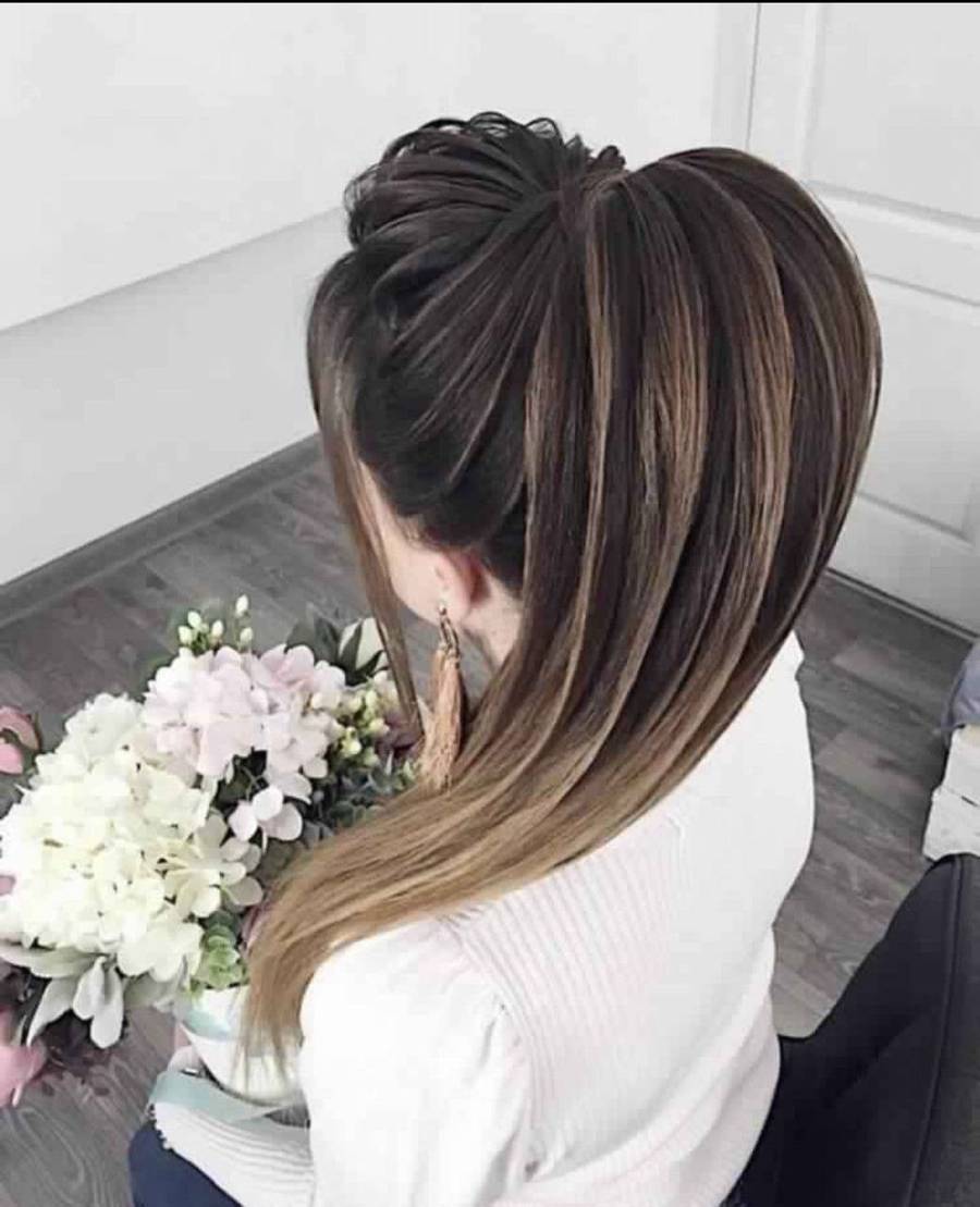 شینیون دم اسبی خطی