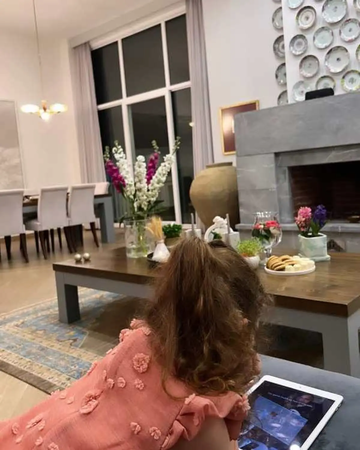خانه لاکچری فریبا نادری
