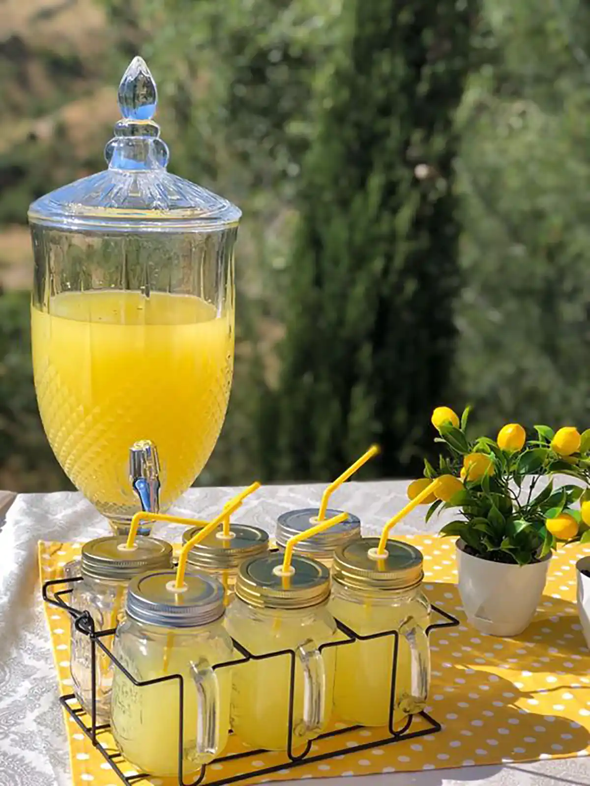 کلمن شیشه ای دو طبقه