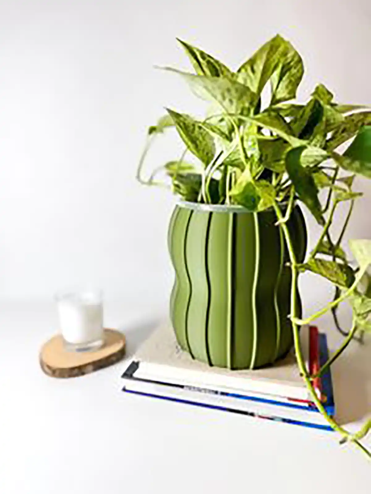 گیاهان آپارتمانی رومیزی