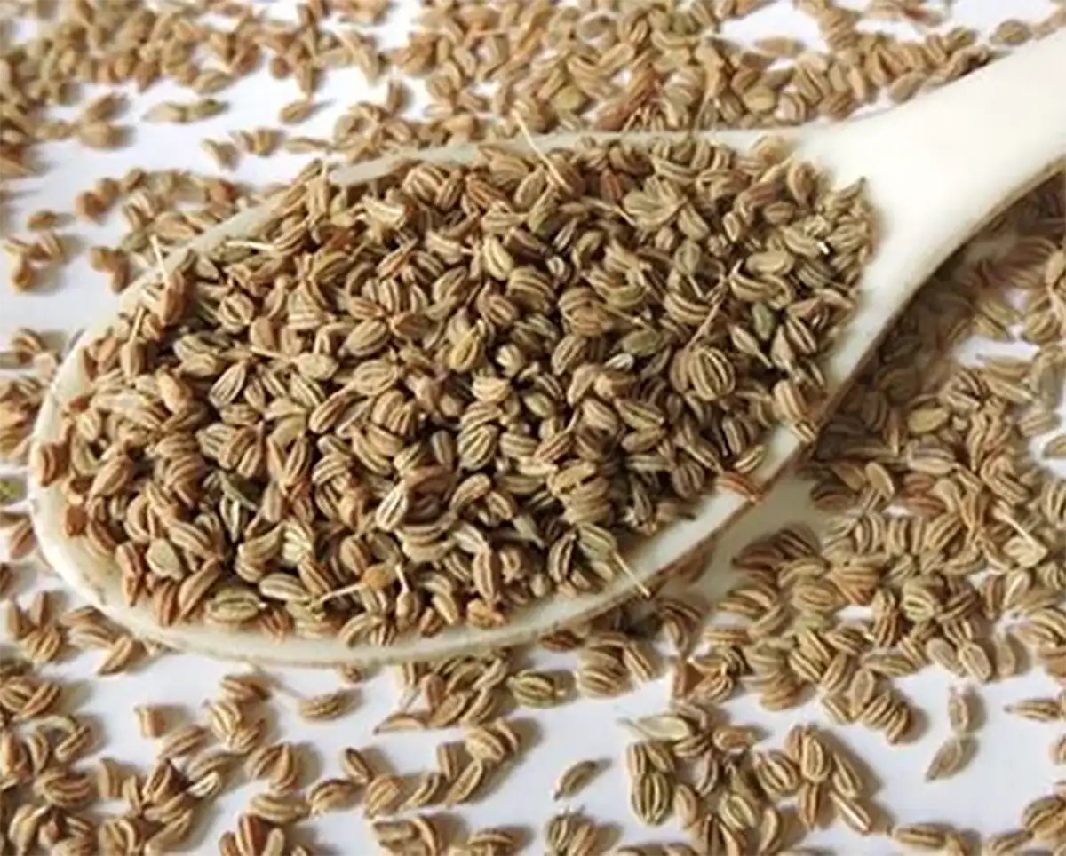 عرق زنیان برای چی خوبه نی نی سایت
زنیان برای لاغری
خواص زنیان برای مردان
نام دیگر زنیان چیست
عوارض زنیان برای مردان
مضرات عرق زنیان
تفاوت زنیان و رازیانه
خواص زنیان برای رحم