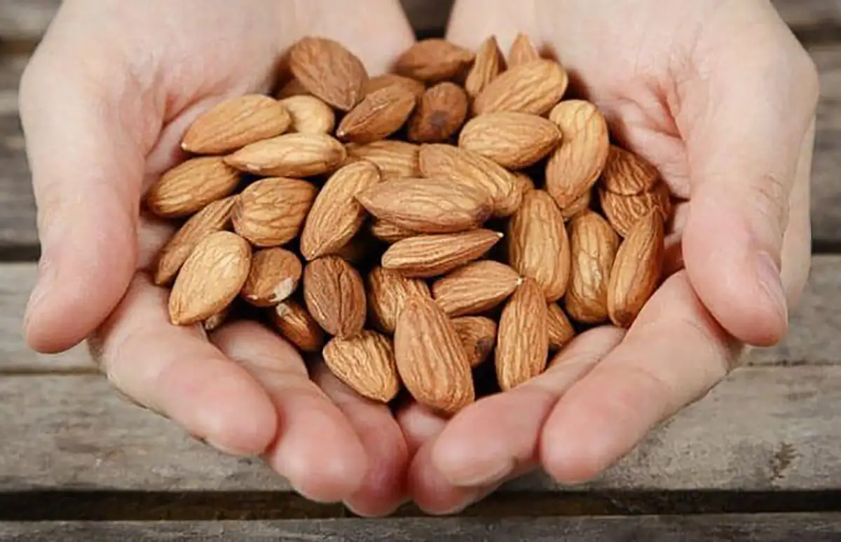 روغن بادام تلخ برای چی خوبه
روغن بادام تلخ برای واژن
بادام تلخ را چگونه مصرف کنیم
چند عدد بادام تلخ کشنده است
روش استفاده روغن بادام تلخ برای پوست صورت
مضرات روغن بادام تلخ برای مو
روغن بادام تلخ برای صورت خوبه یا شیرین؟
طرز استفاده از روغن بادام تلخ برای مو
