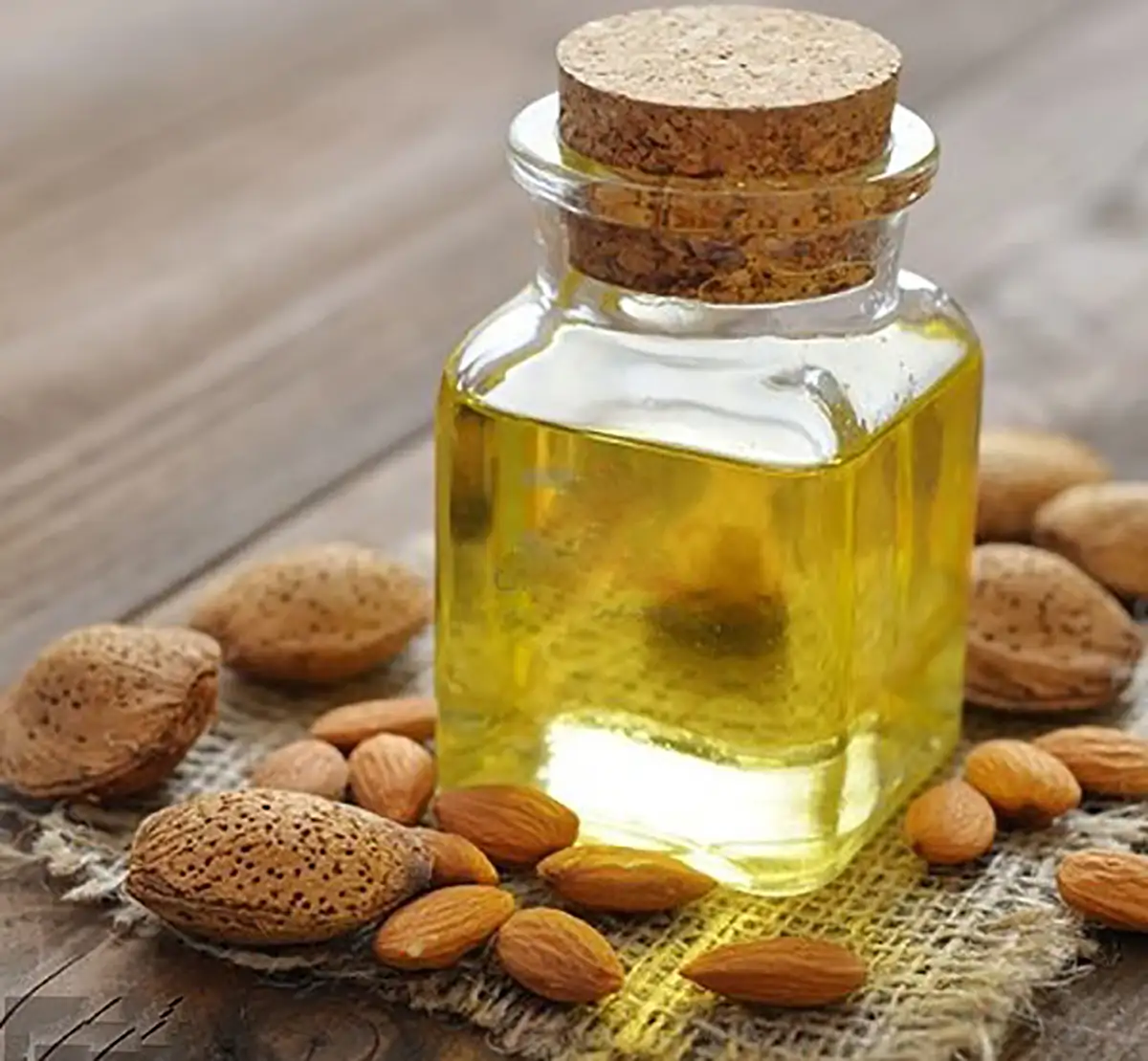 روغن بادام تلخ برای چی خوبه
روغن بادام تلخ برای واژن
بادام تلخ را چگونه مصرف کنیم
چند عدد بادام تلخ کشنده است
روش استفاده روغن بادام تلخ برای پوست صورت
مضرات روغن بادام تلخ برای مو
روغن بادام تلخ برای صورت خوبه یا شیرین؟
طرز استفاده از روغن بادام تلخ برای مو