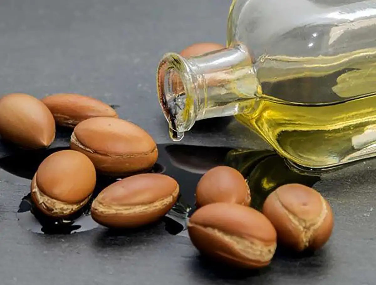 جلوگیری از ترک شکم در بارداری نی نی سایت بهترین کرم برای جلوگیری از ترک شکم در بارداری بهترین کرم ضد ترک بارداری نی نی سایت ترک شکم در بارداری از کی شروع میشه رفع ترک شکم بعد از زایمان نی نی سایت ترک شکم در بارداری از کی شروع میشه نی نی سایت درمان قطعی ترک های پوستی نی نی سایت روغن بایو اویل برای ترک بارداری نی نی سایت