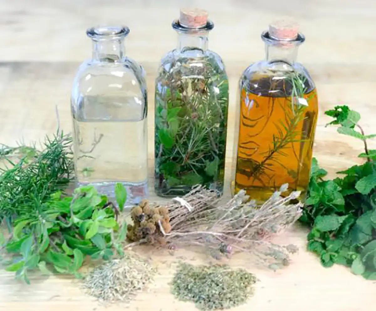 بهترین صبحانه برای کبد چرب برای پاکسازی کبد چرب چی بخوریم طریقه مصرف عرق کاسنی برای کبد چرب میوه های مضر برای کبد چرب بهترین ویتامین برای پاکسازی کبد درمان کبد چرب نی نی سایت قاتل کبد چرب درمان کبد چرب در زنان
