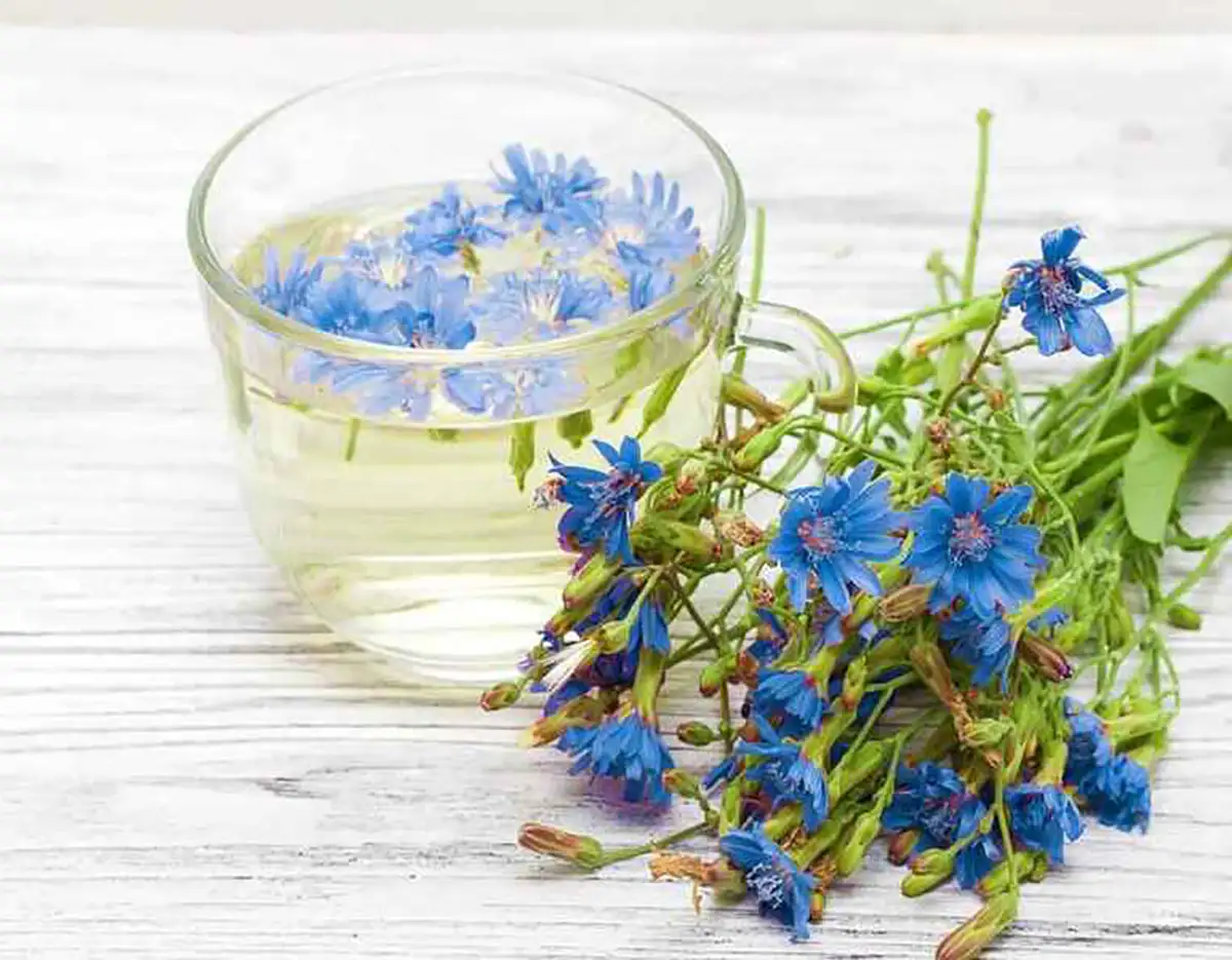 بهترین صبحانه برای کبد چرب برای پاکسازی کبد چرب چی بخوریم طریقه مصرف عرق کاسنی برای کبد چرب میوه های مضر برای کبد چرب بهترین ویتامین برای پاکسازی کبد درمان کبد چرب نی نی سایت قاتل کبد چرب درمان کبد چرب در زنان