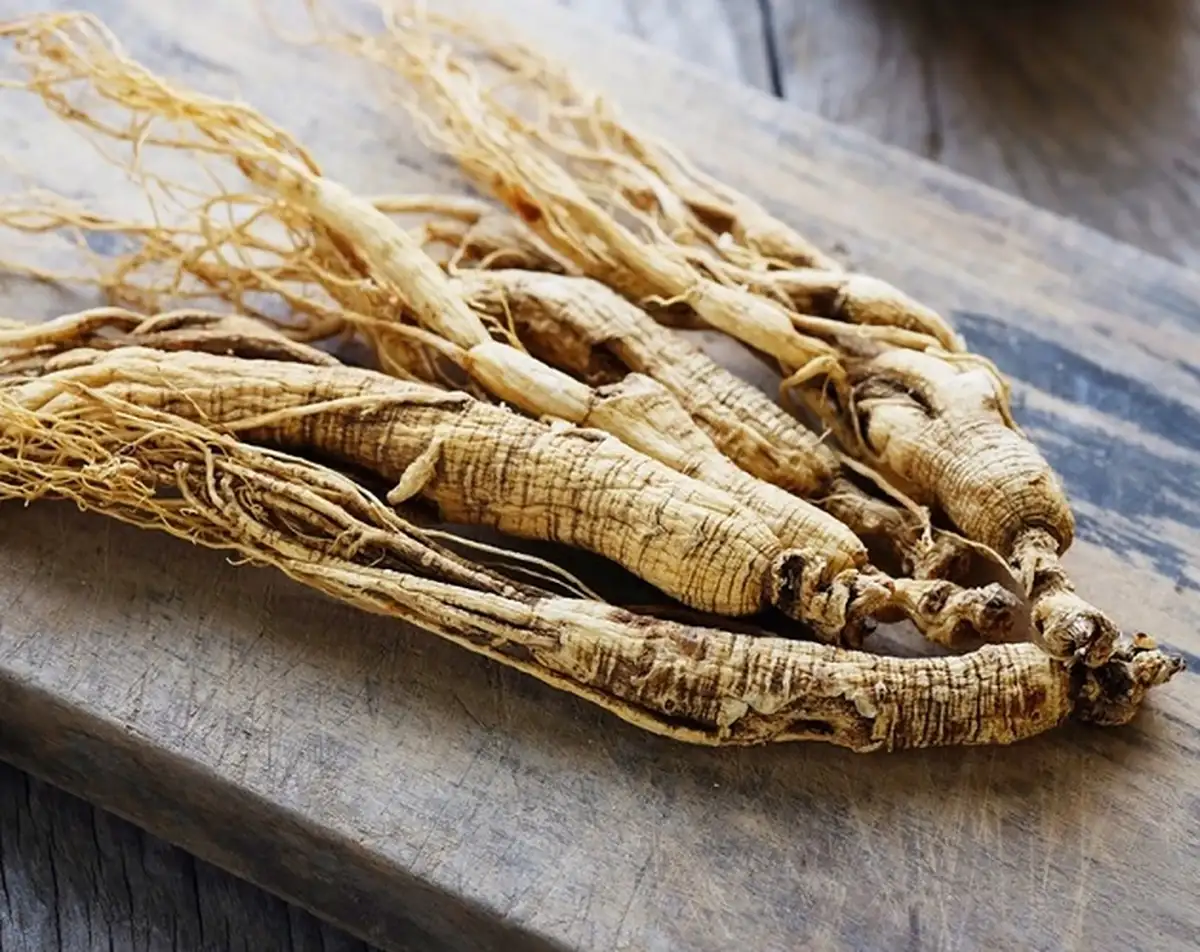 خواص جینسینگ برای رابطه زناشویی خواص جینسینگ برای زنان نی نی سایت خواص جینسینگ برای چاقی خواص جینسینگ برای مردان خواص جینسینگ برای لاغری طریقه مصرف جینسینگ برای زنان تاثیر جینسینگ بر باروری زنان خواص جینسینگ قرمز برای زنان