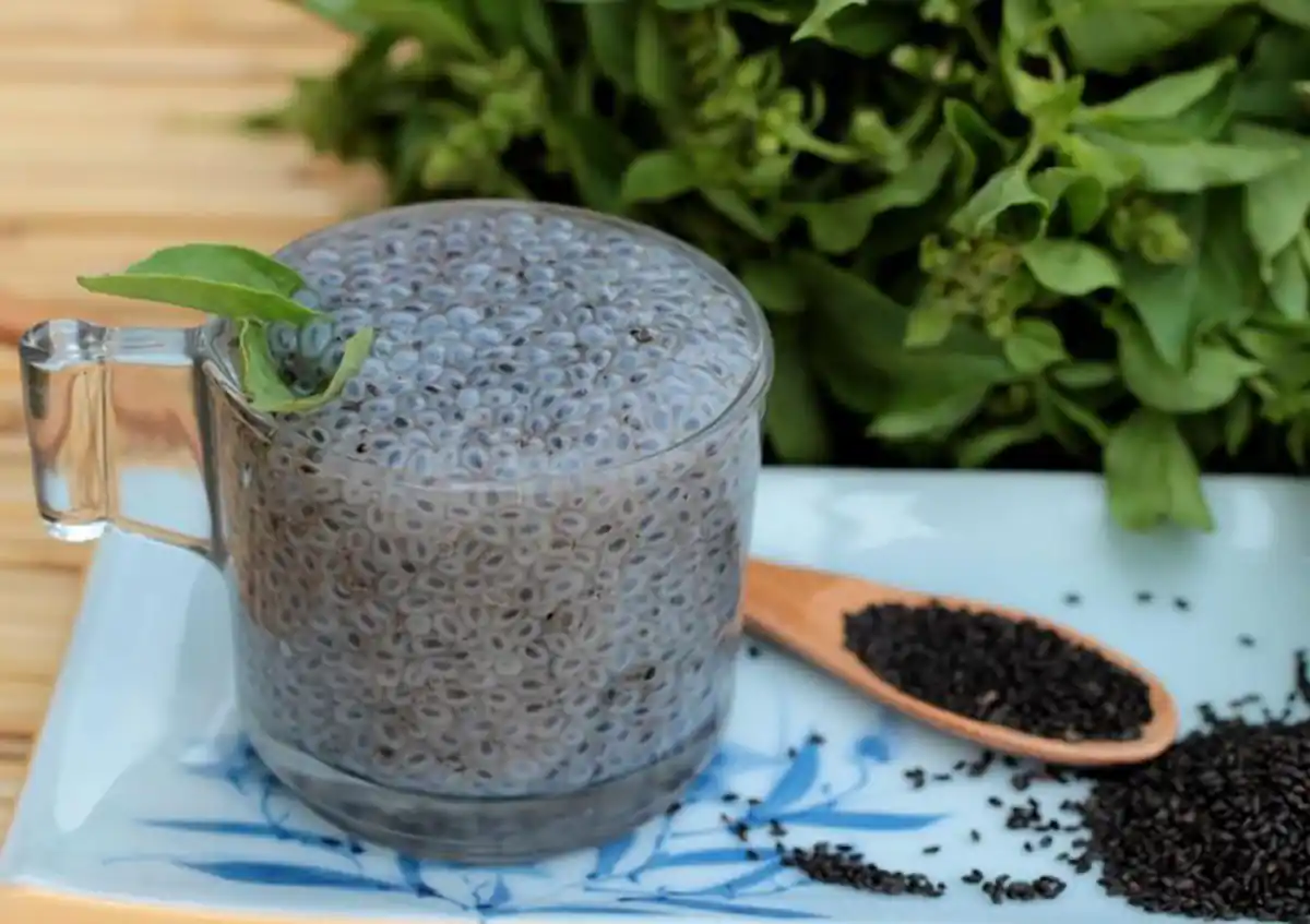 تخم شربتی برای چی خوبه طریقه مصرف تخم ریحان مضرات دانه ریحان تفاوت تخم شربتی و تخم ریحان تخم ریحان به انگلیسی تخم ریحان اردو تخم شربتی به انگلیسی خواص تخم شربتی و خاکشیر