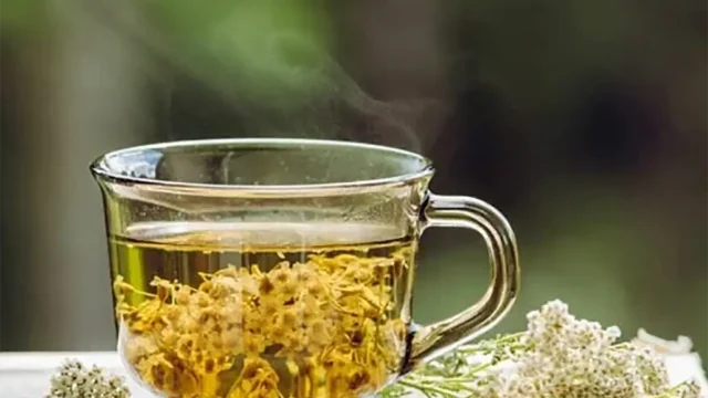 دمنوش بومادران برای چی خوبه؟ | گیاهی شگفت‌انگیز برای گوارشی