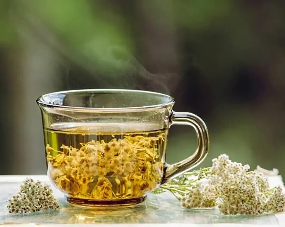 خواص بومادران دکتر خیراندیش خواص نشستن در جوشانده بومادران خواص بومادران برای کیست تخمدان خواص بومادران برای رحم نی نی سایت بومادران برای چی خوبه نی نی سایت خواص عرق بومادران برای مردان بومادران برای پاکسازی رحم طریقه مصرف بومادران برای معده