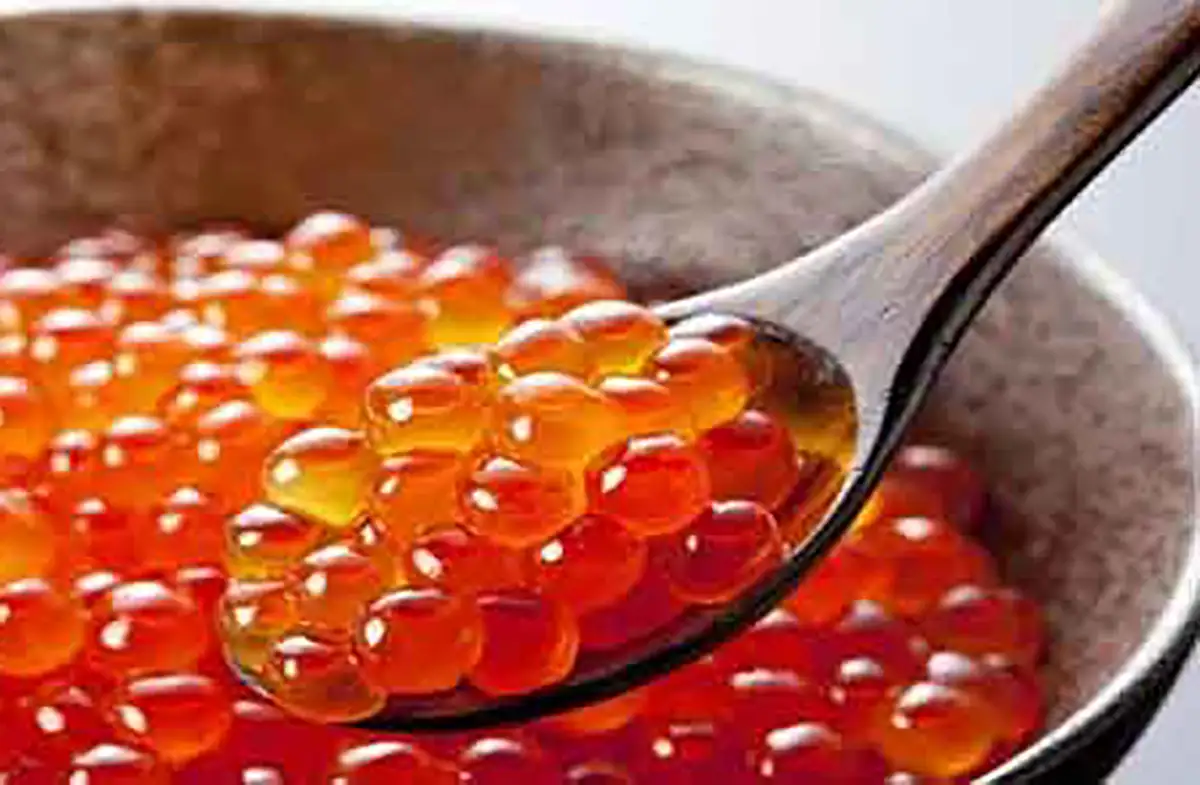 خاویار را چگونه بخوریم قیمت خاویار چه کسانی نباید خاویار بخورند روغن خاویار برای چی خوبه خواص خاویار برای مردان بهترین زمان مصرف خاویار خواص خاویار برای زنان خاصیت خاویار سیاه