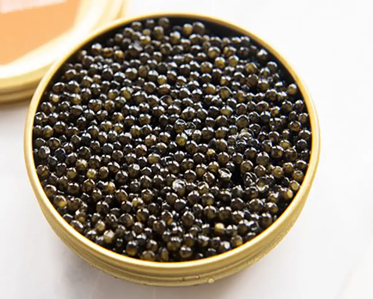 خاویار را چگونه بخوریم قیمت خاویار چه کسانی نباید خاویار بخورند روغن خاویار برای چی خوبه خواص خاویار برای مردان بهترین زمان مصرف خاویار خواص خاویار برای زنان خاصیت خاویار سیاه