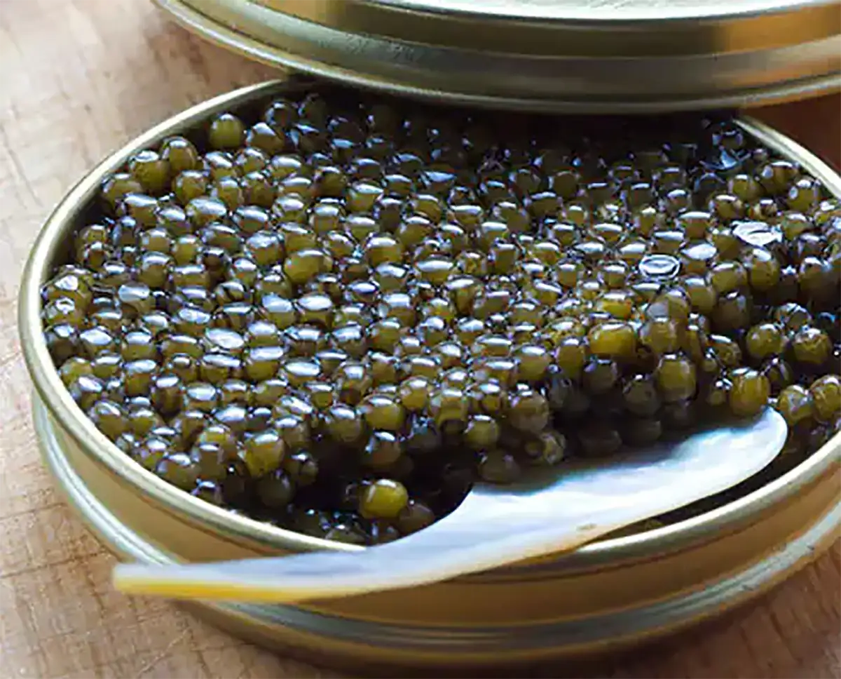 خاویار را چگونه بخوریم قیمت خاویار چه کسانی نباید خاویار بخورند روغن خاویار برای چی خوبه خواص خاویار برای مردان بهترین زمان مصرف خاویار خواص خاویار برای زنان خاصیت خاویار سیاه