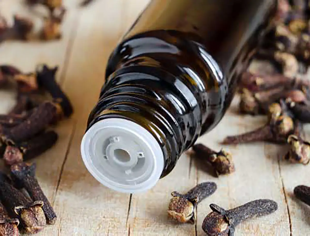 دمنوش میخک برای چی خوبه
خواص روغن میخک برای دندان
خواص روغن میخک برای مو
خواص میخک برای مردان
طریقه مصرف میخک برای مردان
خواص روغن میخک برای پوست صورت
روغن میخک برای درد مفاصل
فواید میخک در چای