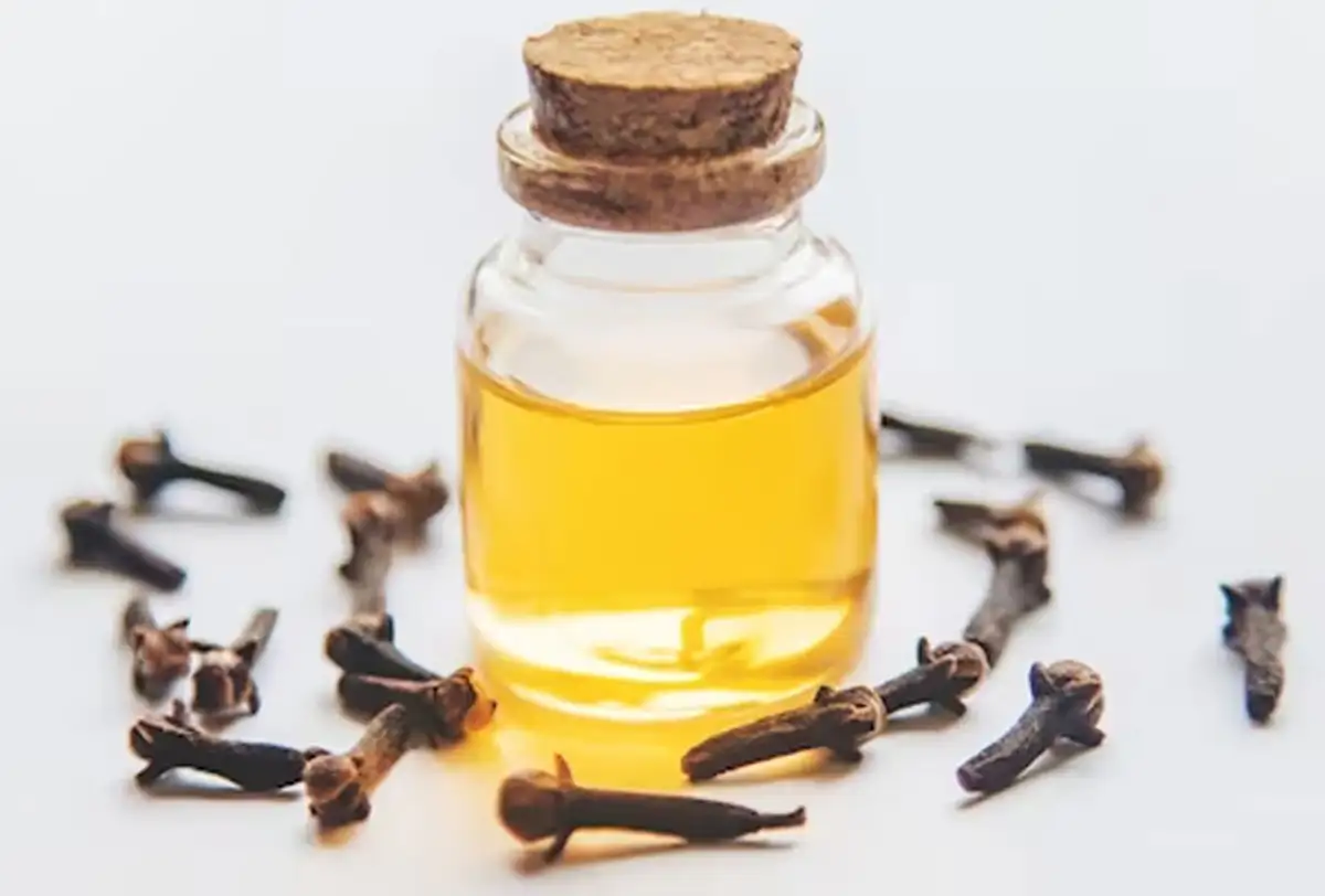دمنوش میخک برای چی خوبه
خواص روغن میخک برای دندان
خواص روغن میخک برای مو
خواص میخک برای مردان
طریقه مصرف میخک برای مردان
خواص روغن میخک برای پوست صورت
روغن میخک برای درد مفاصل
فواید میخک در چای