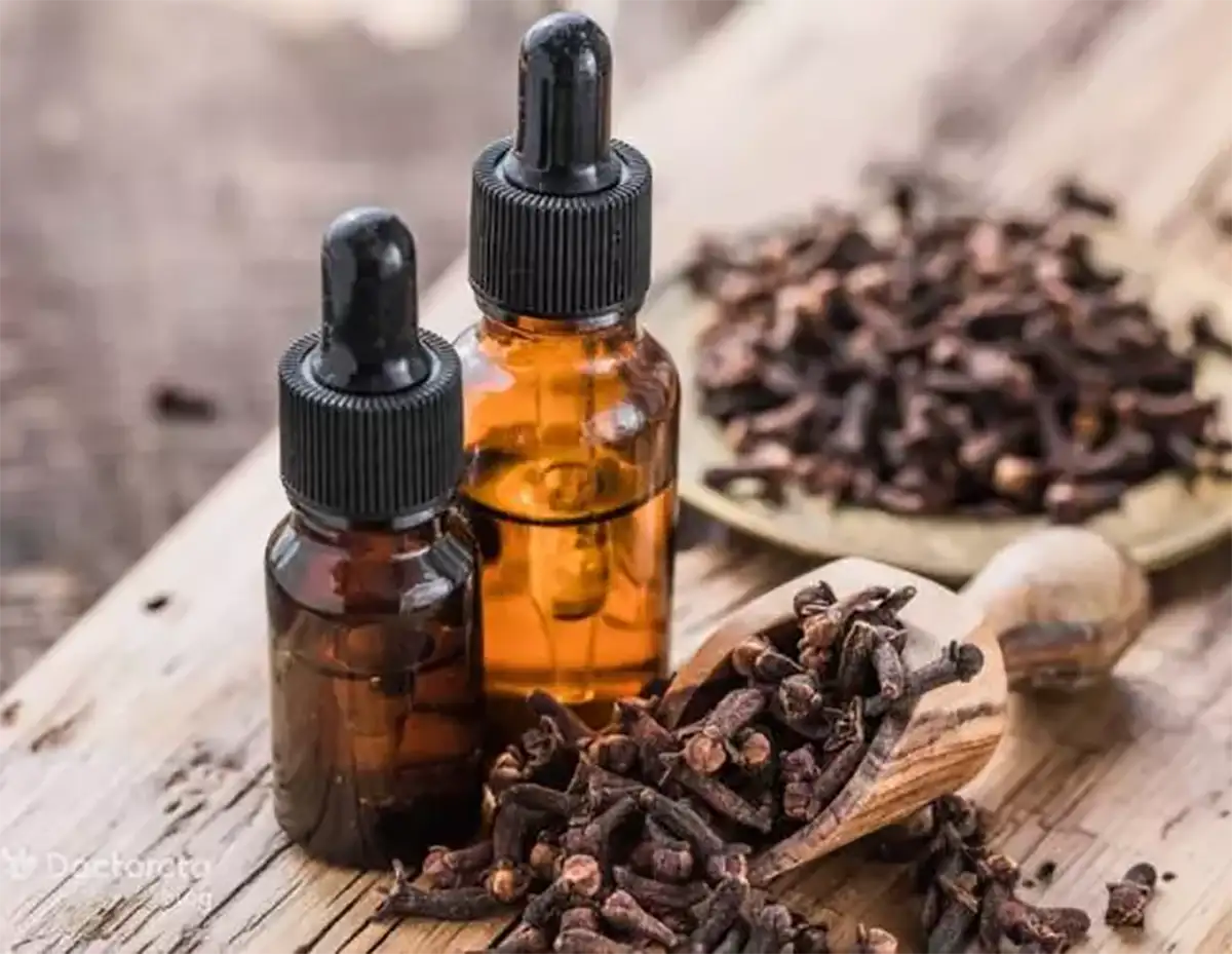 دمنوش میخک برای چی خوبه خواص روغن میخک برای دندان خواص روغن میخک برای مو خواص میخک برای مردان طریقه مصرف میخک برای مردان خواص روغن میخک برای پوست صورت روغن میخک برای درد مفاصل فواید میخک در چای