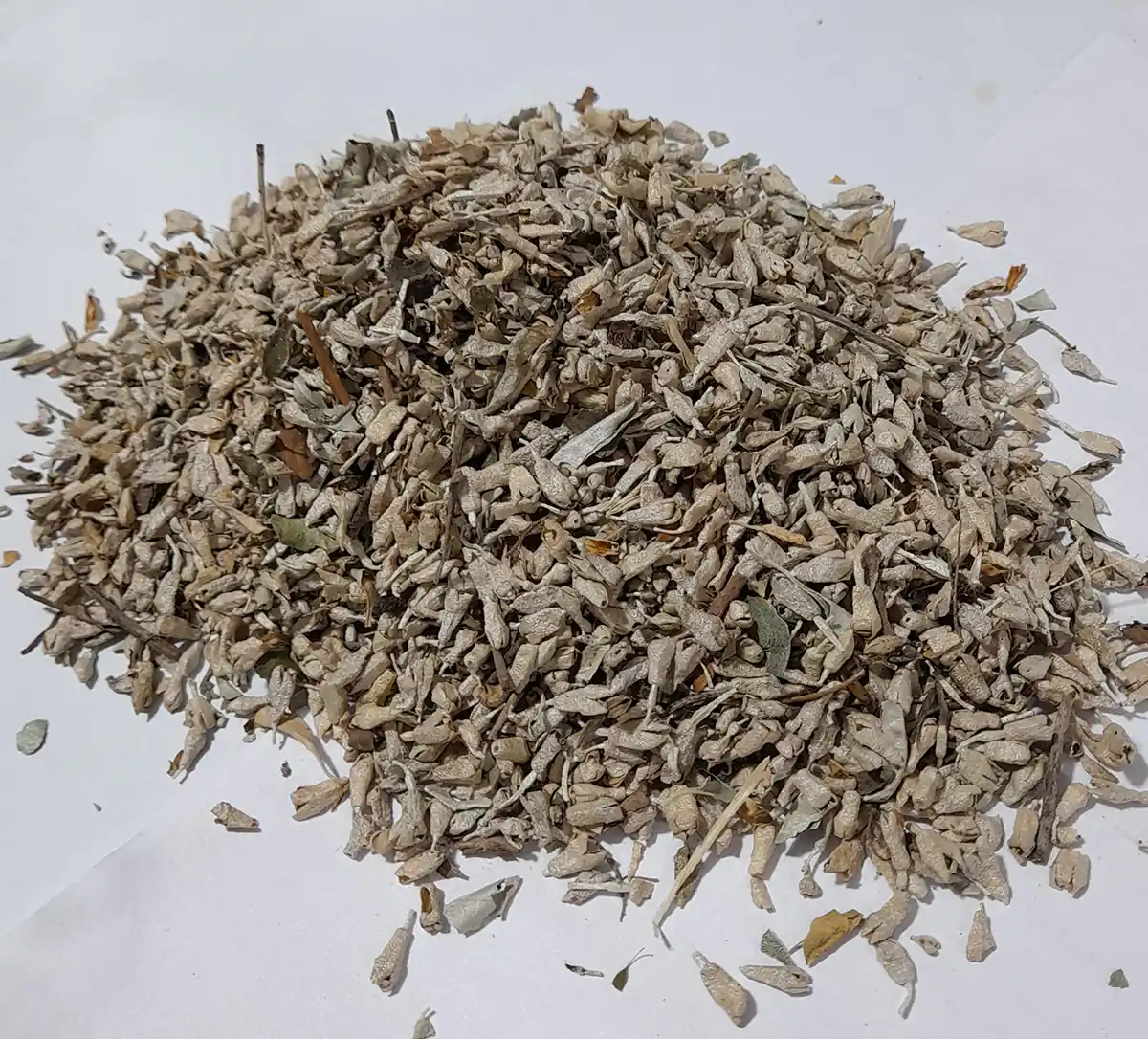 شکوفه سنجد برای تقویت تخمدان نی نی سایت خواص گل سنجد برای مردان شکوفه سنجد نی نی سایت گل سنجد به انگلیسی خرید شکوفه سنجد برگ سنجد پودر سنجد نی نی سایت دمنوش سنجد