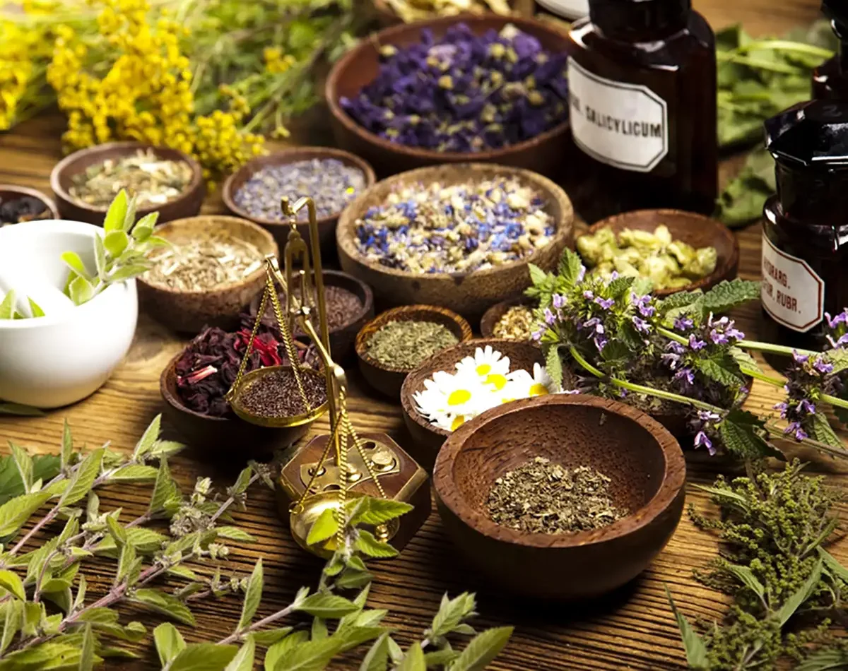 مضرات چهل گیاه خواص چهل گیاه برای عفونت طریقه مصرف عرق چهل گیاه برای لاغری طریقه مصرف چهل گیاه فواید عرق چهل گیاه برای پوست صورت پودر چهل گیاه خواص عرق چهل گیاه نی نی سایت دمنوش چهل گیاه برای چی خوبه