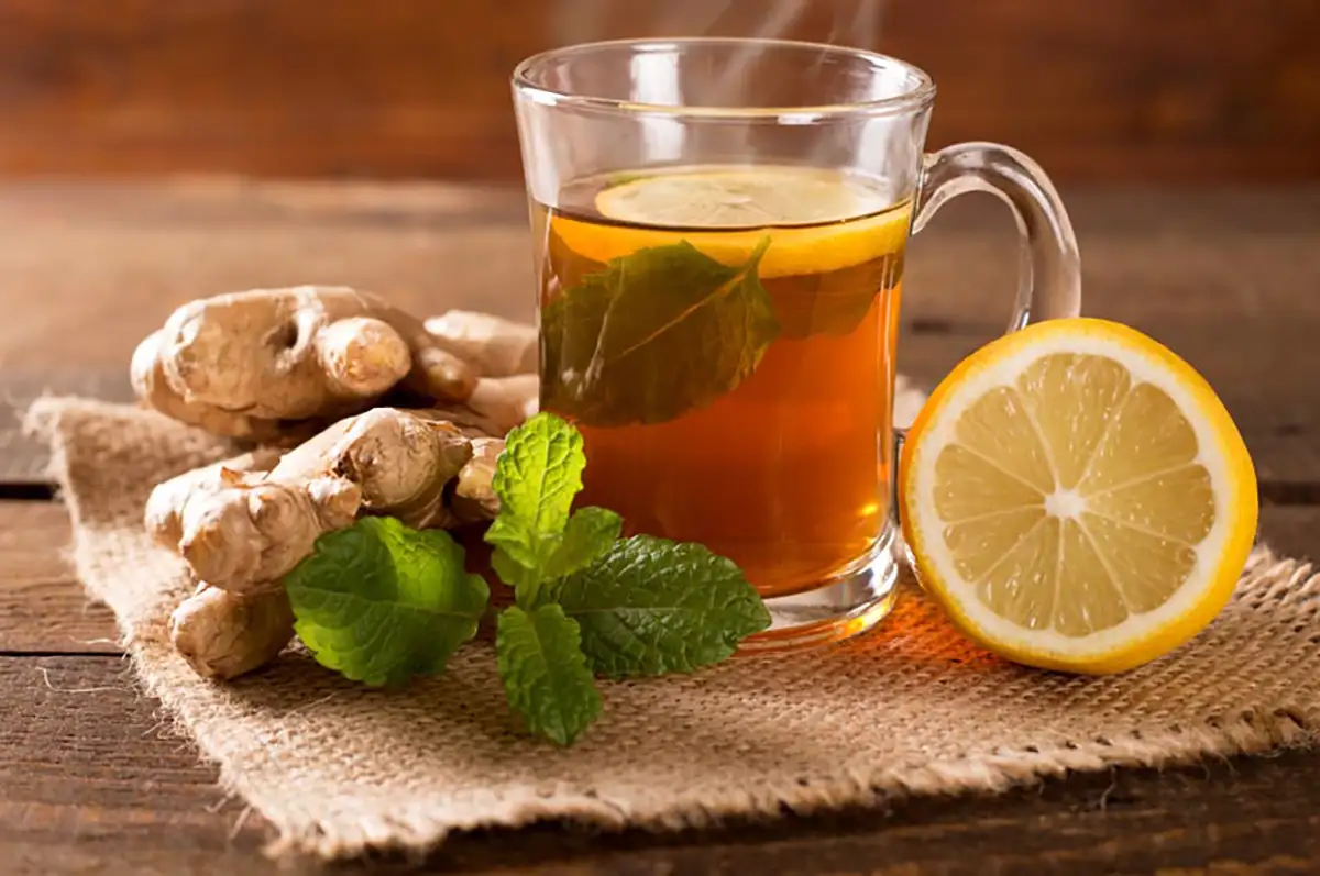 هضم سریع غذا بعد از پرخوری هضم کننده قوی غذا بهترین قرص برای هضم سریع غذا بهترین میوه برای هضم غذا درمان خانگی برای هضم غذا تنبلی معده در هضم غذا بهترین هضم کننده غذا در طب سنتی چه عرقی برای هضم غذا خوبه