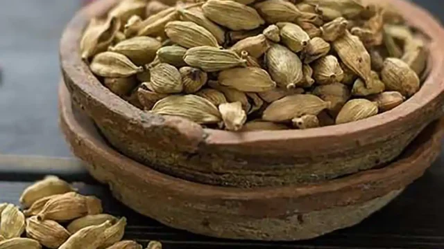 عرق هل برای چی خوبه؟ | خواص بی‌نظیر عرق هل برای بدن