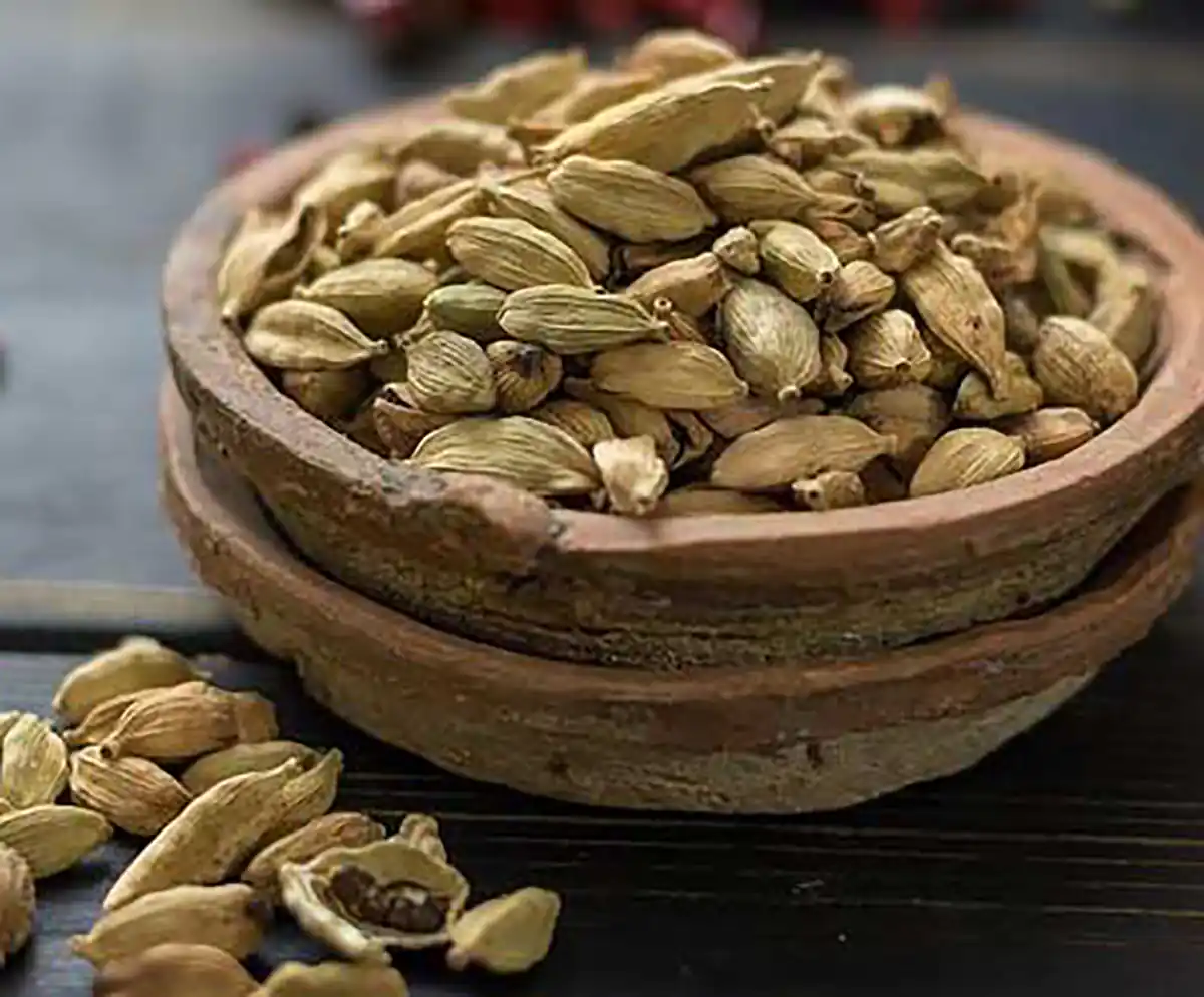 طریقه مصرف عرق هل خواص عرق هل برای زنان مضرات عرق هل طریقه مصرف عرق هل برای لاغری بهترین زمان مصرف عرق هل خواص عرق هل برای مردان خواص عرق هل و گلاب عرق هل در چه غذاهایی استفاده میشود
