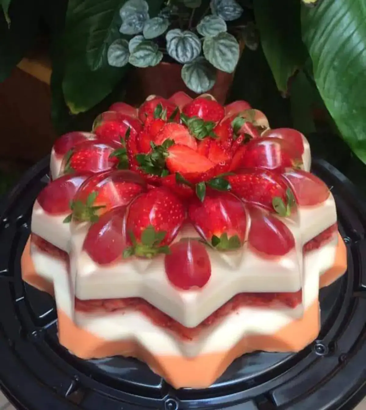 انواع طعم ژله