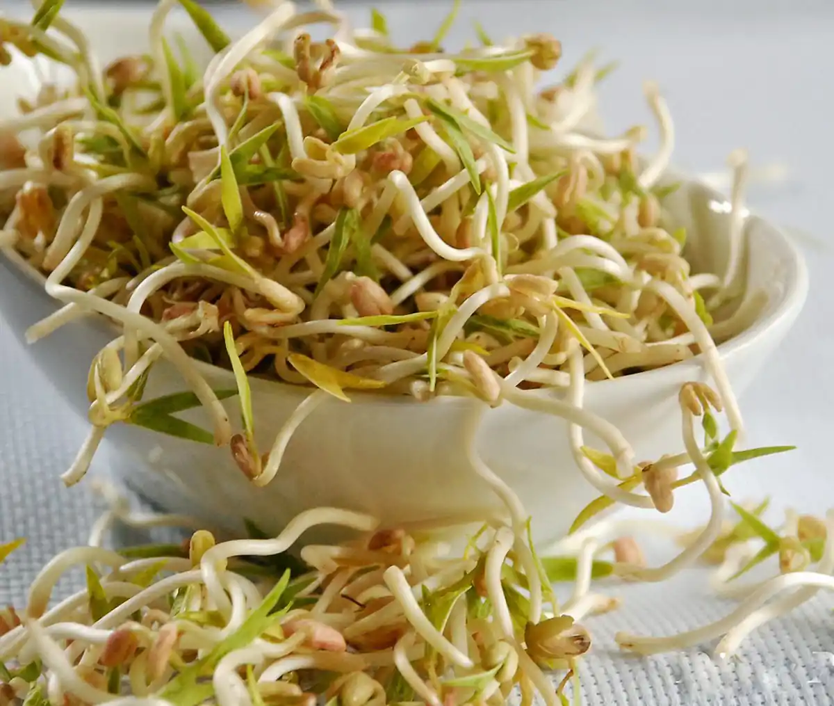 خواص جوانه ماش برای چاقی صورت جوانه ماش و ماست طرز مصرف جوانه ماش خواص جوانه ماش برای تنبلی تخمدان طریقه مصرف جوانه ماش برای لاغری خواص جوانه ماش برای باردار شدن طرز تهیه جوانه ماش با جوانه ماش چی درست کنم