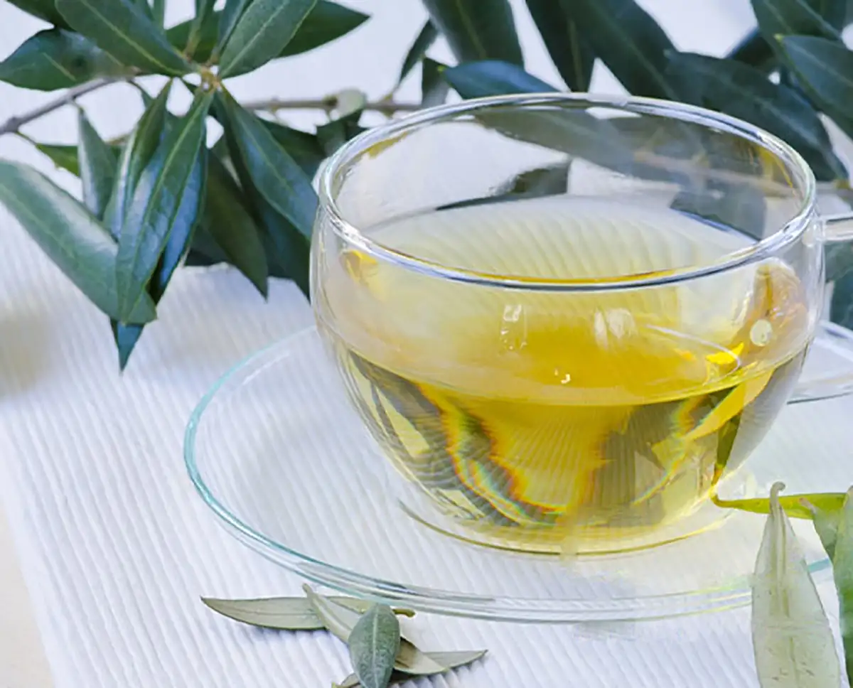 مضرات برگ زیتون
خواص دود برگ زیتون
طرز تهیه دمنوش برگ زیتون
برگ زیتون خشک شده
طریقه مصرف برگ زیتون برای لاغری
خواص برگ زیتون برای کبد چرب
خواص برگ زیتون نی نی سایت
خواص برگ زیتون برای کلیه