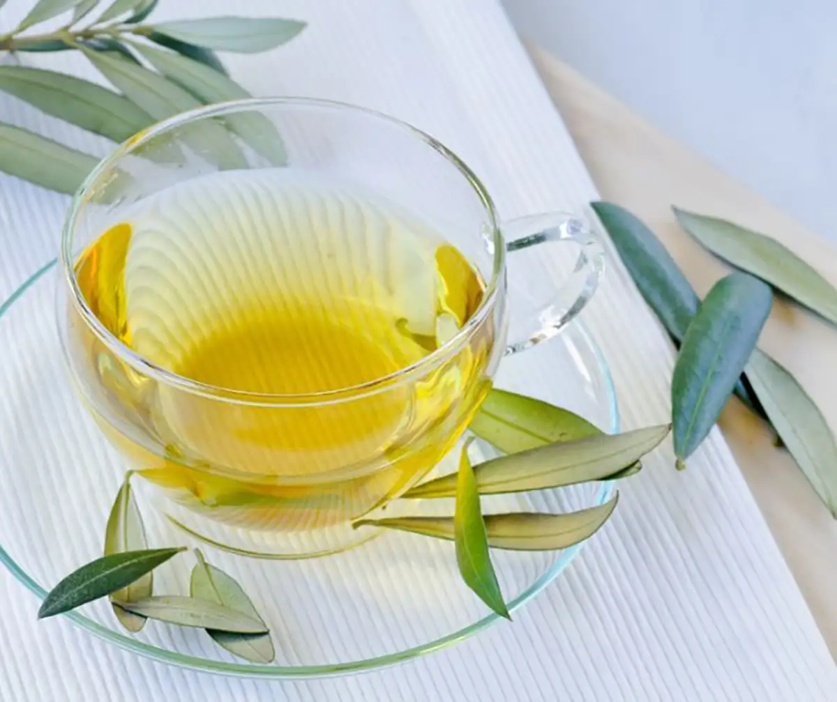 مضرات برگ زیتون
خواص دود برگ زیتون
طرز تهیه دمنوش برگ زیتون
برگ زیتون خشک شده
طریقه مصرف برگ زیتون برای لاغری
خواص برگ زیتون برای کبد چرب
خواص برگ زیتون نی نی سایت
خواص برگ زیتون برای کلیه