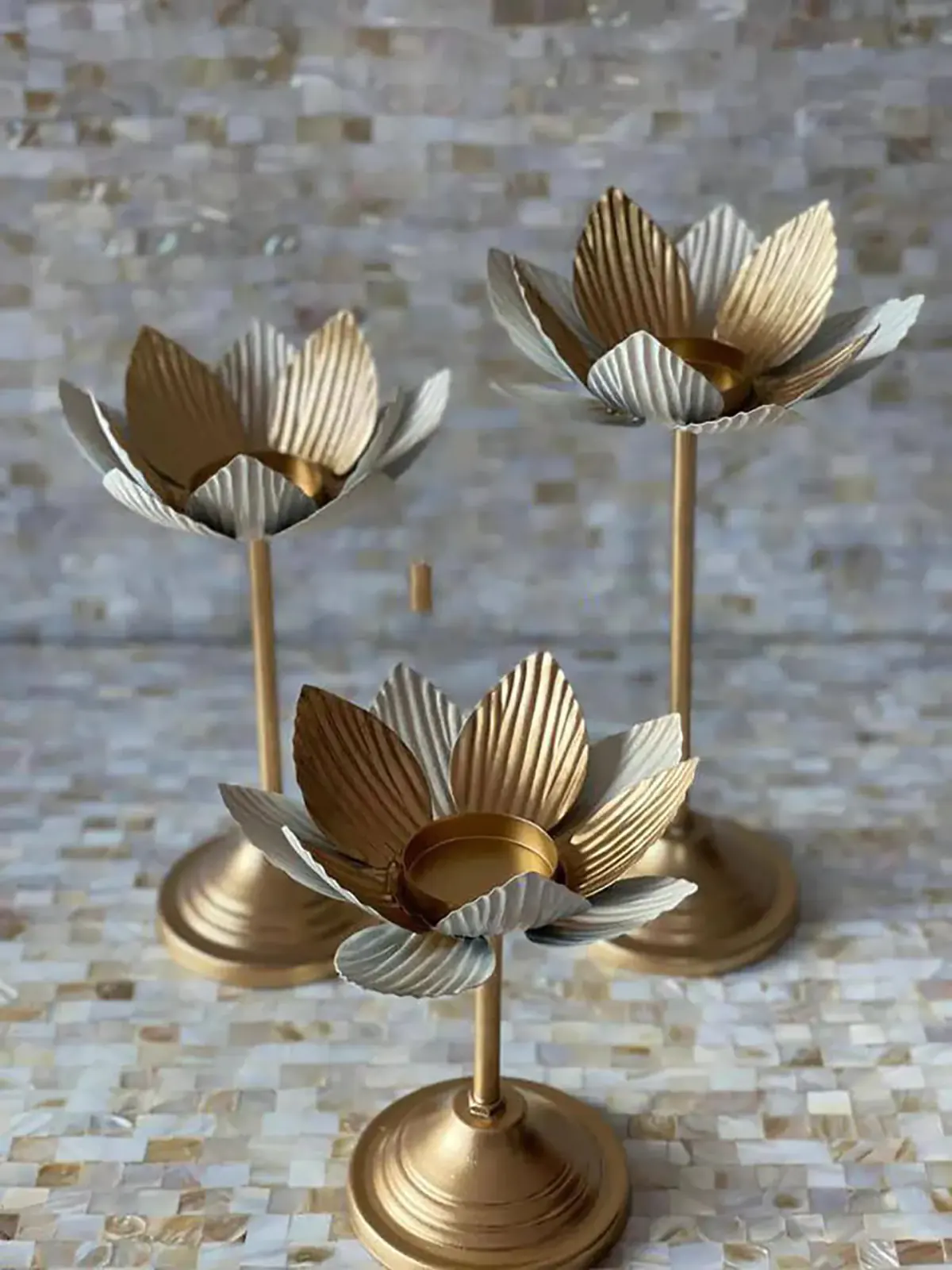 ظروف پذیرایی
