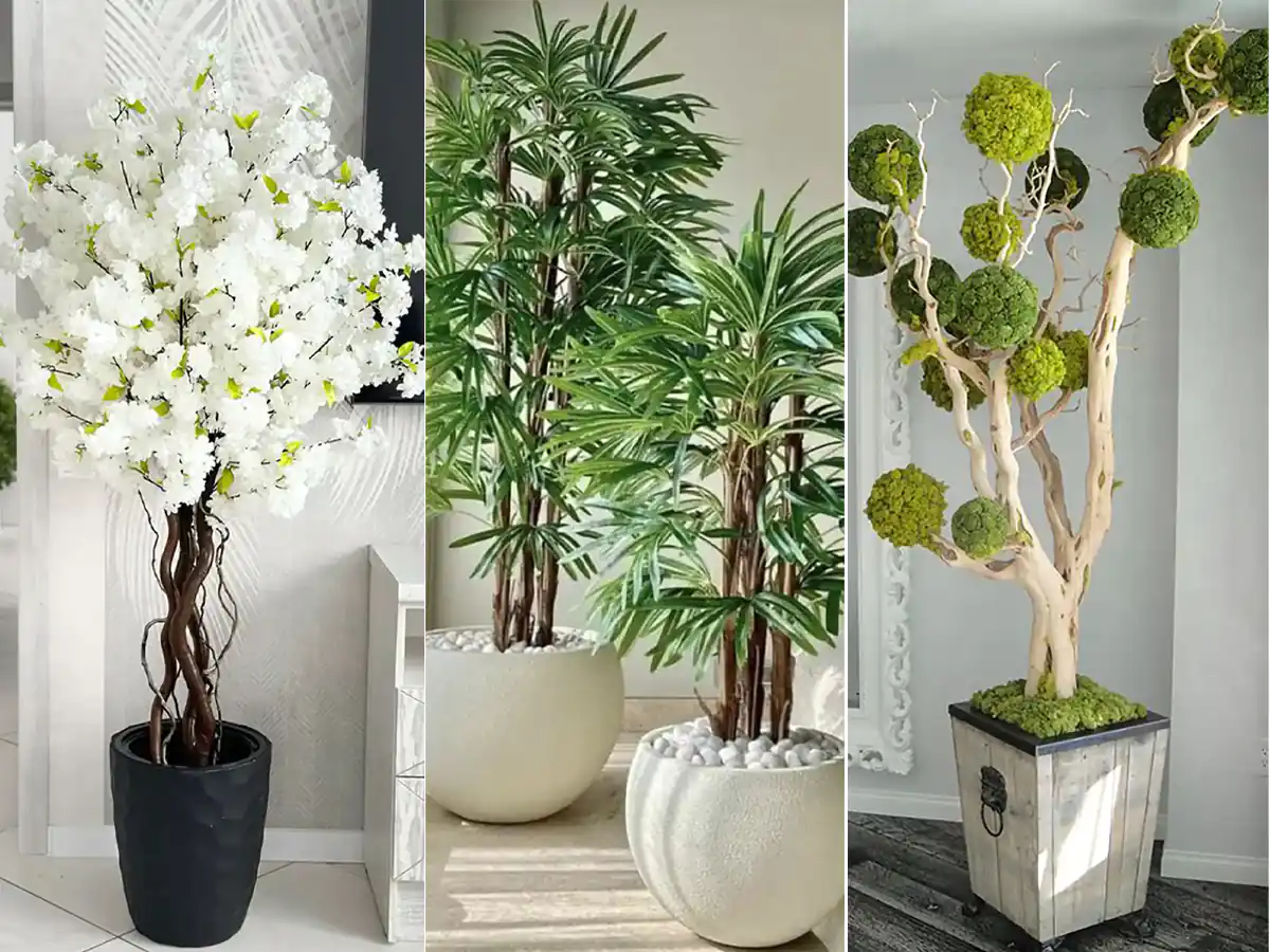 درختچه های زینتی برای حیاط 