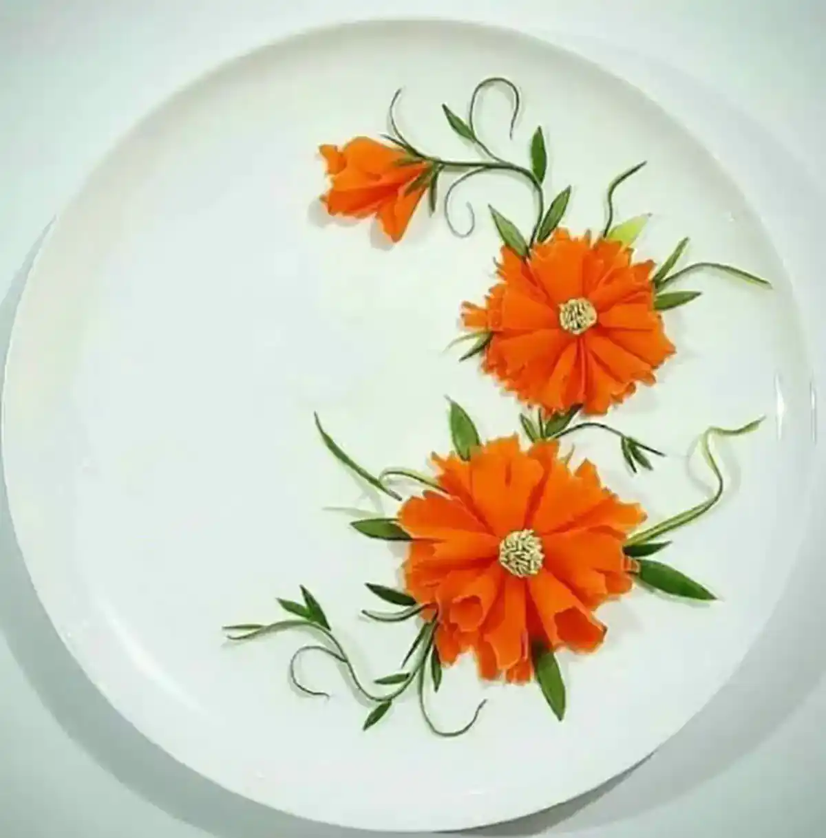 دورچین غذای بیرون بر آموزش دورچین غذا دورچین غذای ایرانی انواع دورچین غذا گارنیش غذا طرز تهیه گارنیش