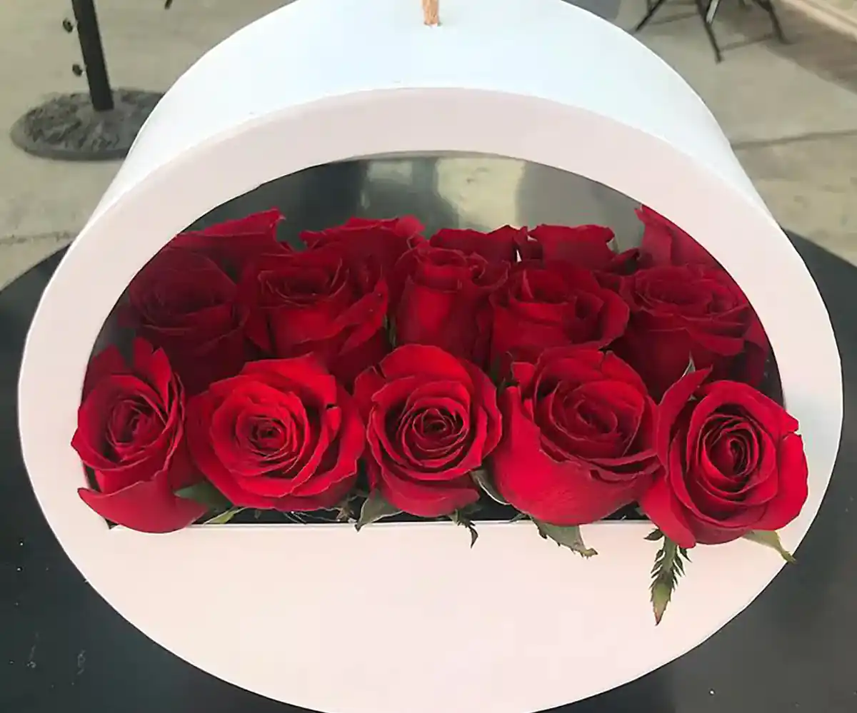 بهترین گل برای هدیه به خانم ها
انواع گل برای هدیه
گل طبیعی برای هدیه
گل ژیپسوفیلا
گل برای پسر
گل مناسب تولد
هر گل نماد چیست
سفارش دسته گل