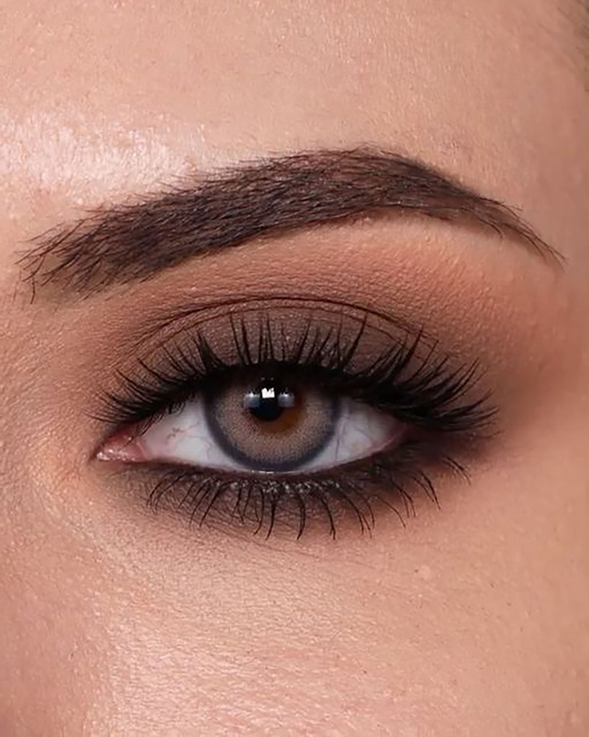سایه چشم اکلیلی تکی 