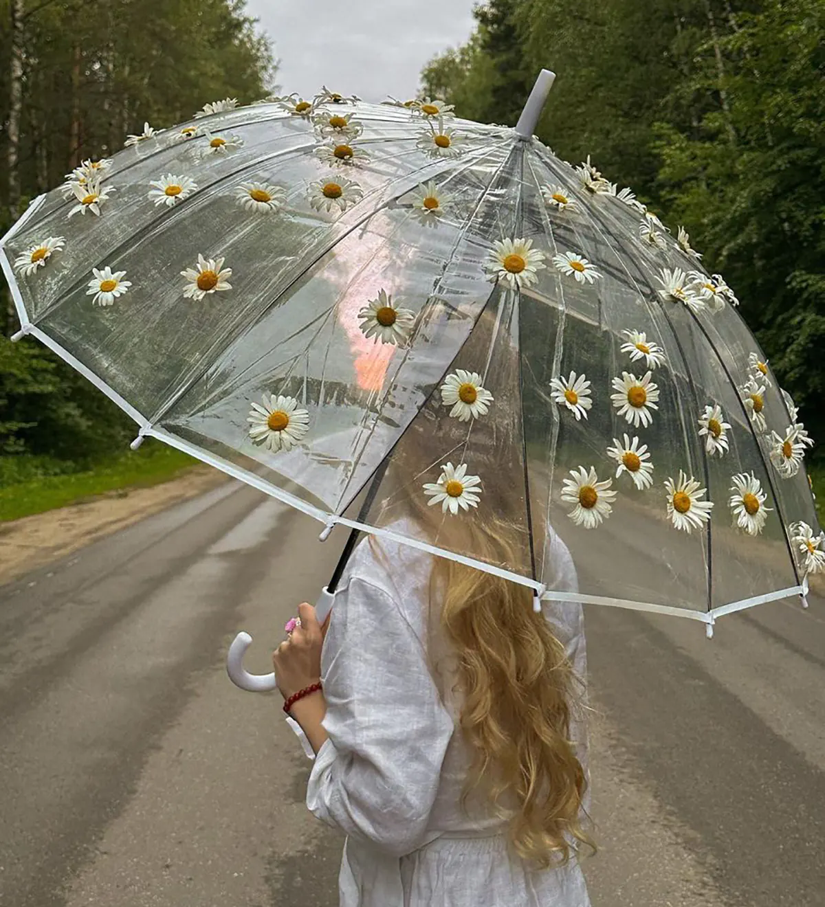 خرید چتر ارزان دیجی کالا 