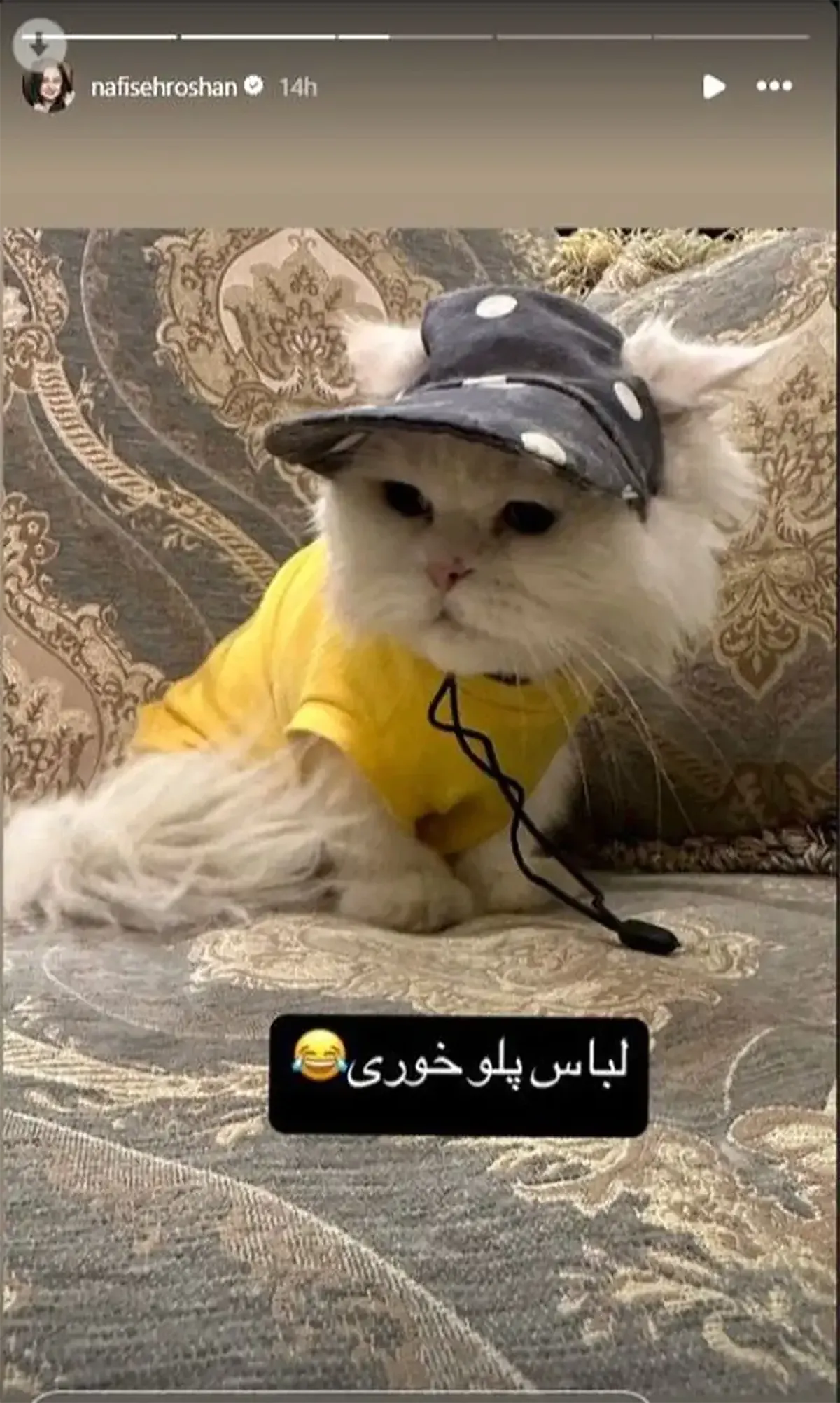 نفیسه روشن و همسر جدیدش