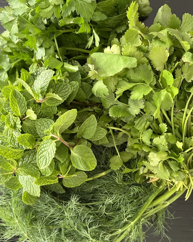 سبزی تازه آش رشته شامل جعفری و گشنیز