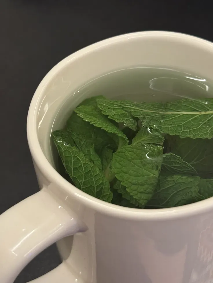 چای نعناع گرم در فنجون سفید با برگ تازه