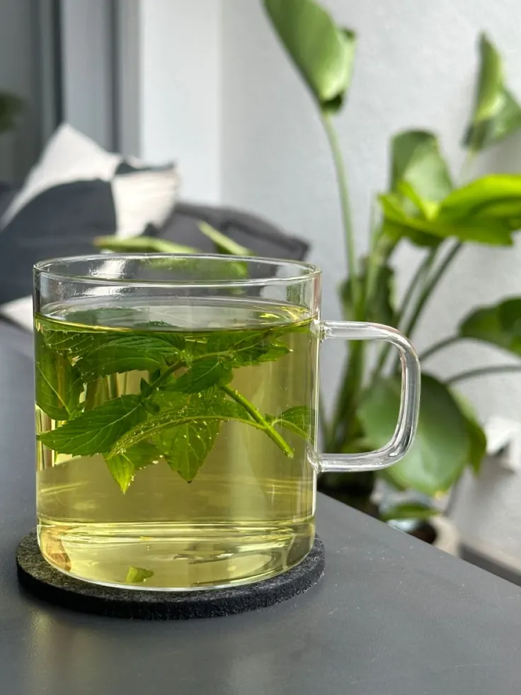 دم‌کرده سرد چای نعناع در لیوان شیشه‌ای