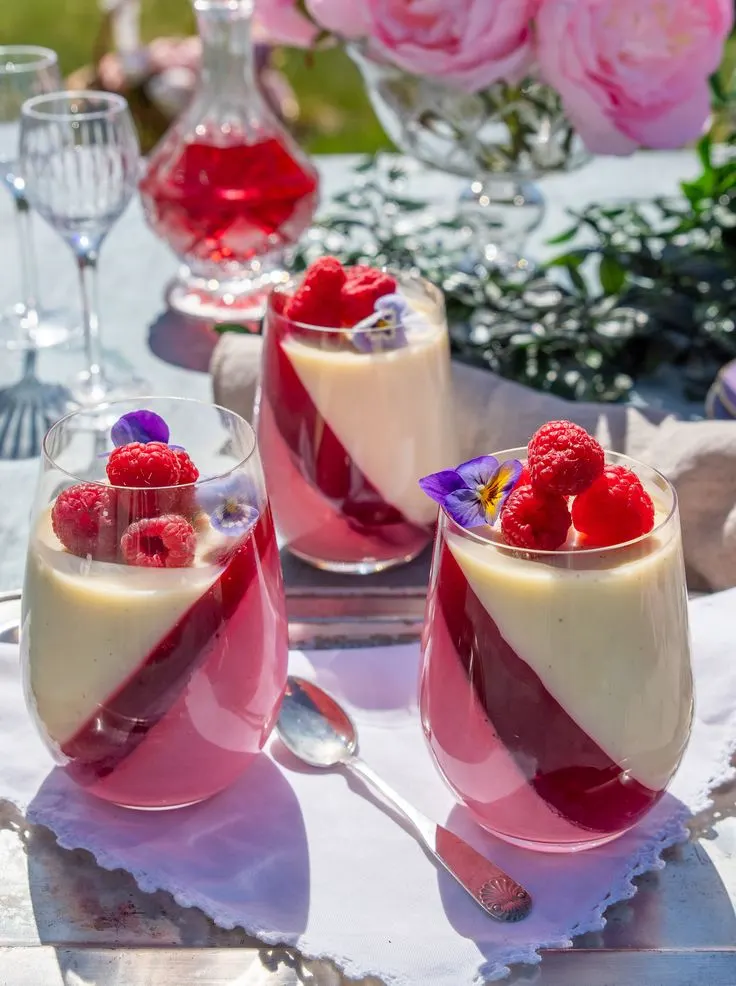 پاناکوتای تمشک با لایه مورب ژله‌ای