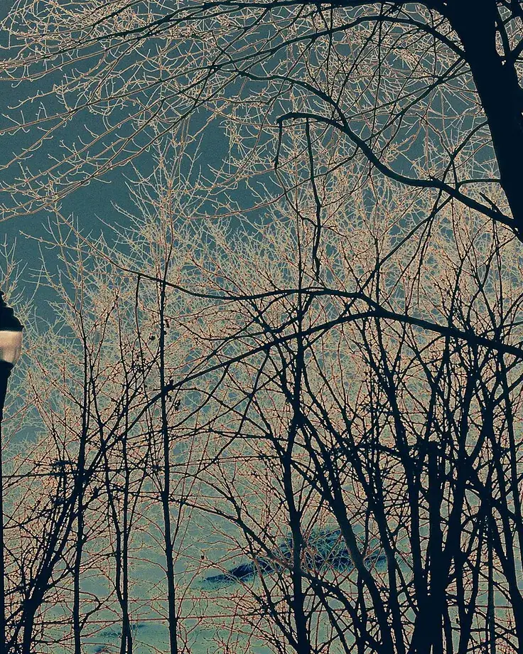 چراغ پارک در هوای خنک عصر و آسمان ابری